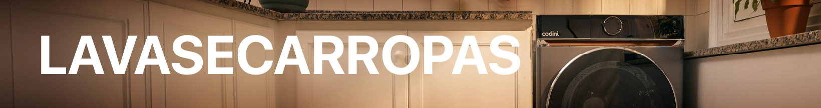 grupo lavasecarropas