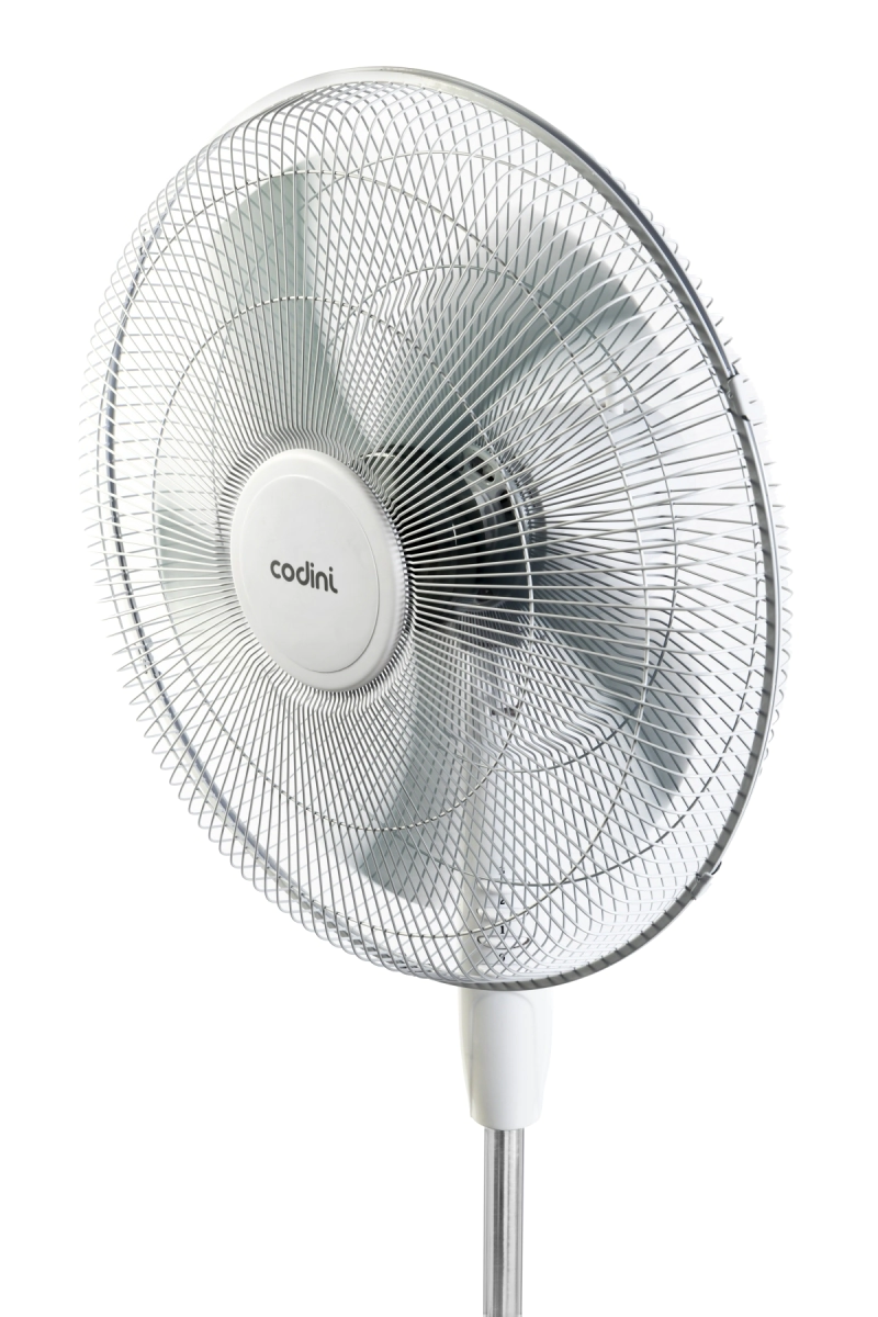 002200 - imagen 01