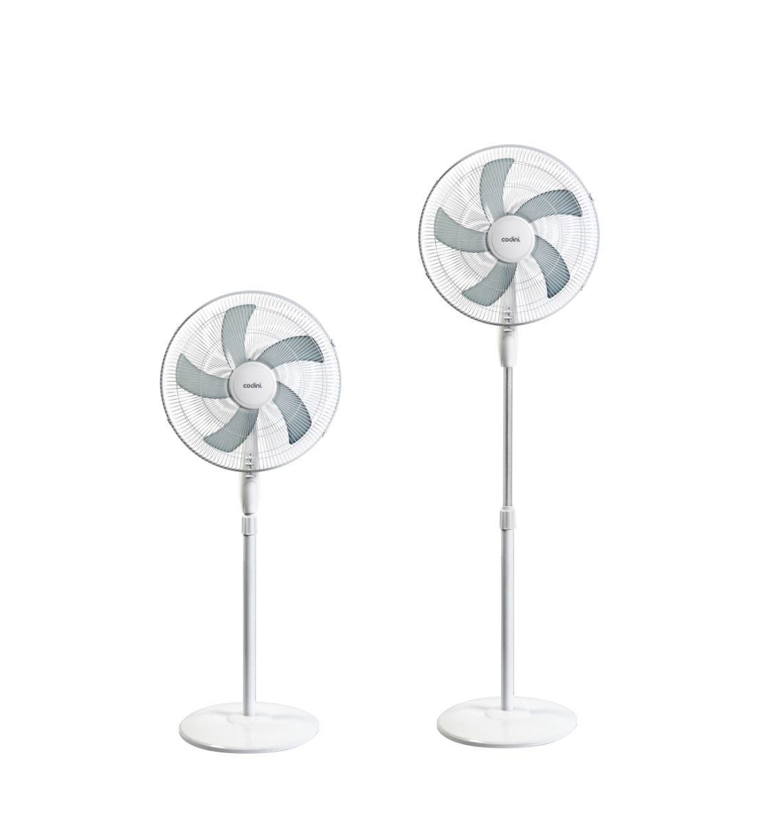 002200 - imagen 04