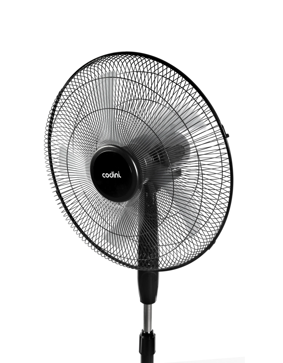 002202 - imagen 01