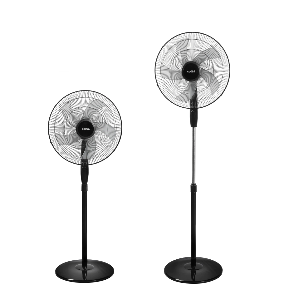 002202 - imagen 02